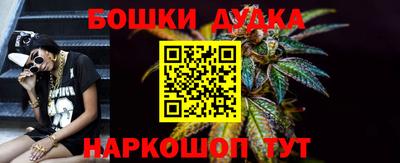 крисы Владикавказ