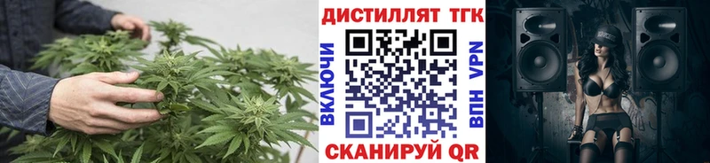 где продают   Губкин  мега онион  Дистиллят ТГК Wax 