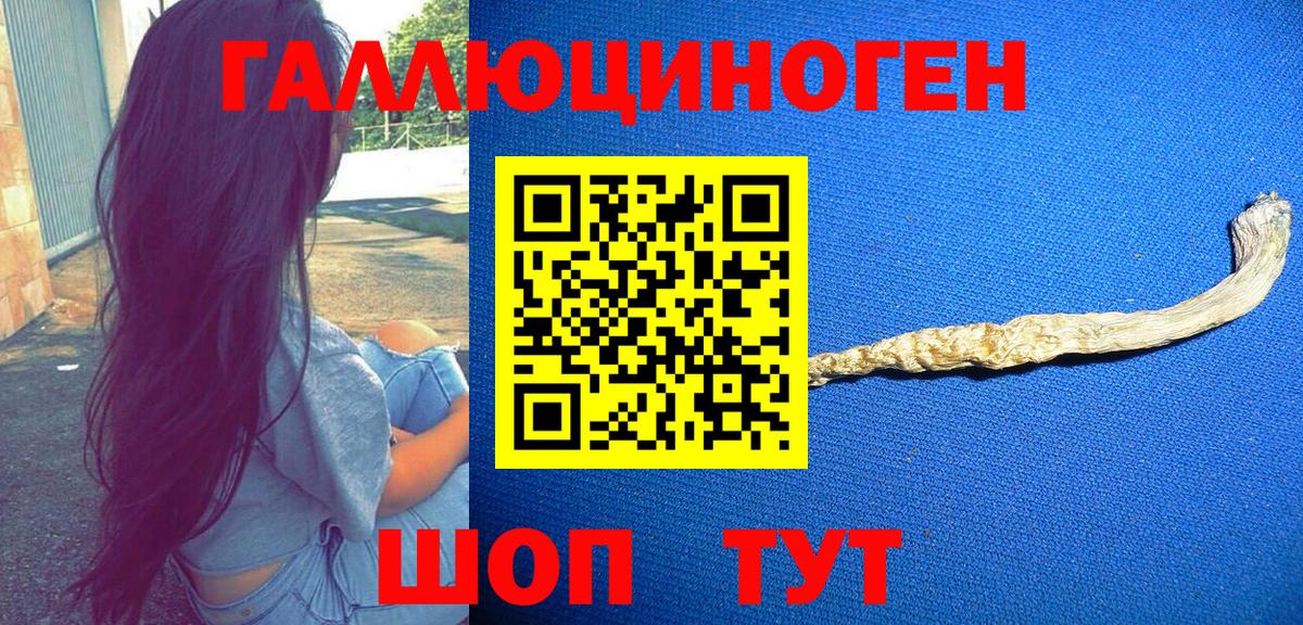 Псилоцибиновые грибы Psilocybine cubensis  Псилоцибиновые грибы мицелий  Вход с VPN  Губкин 