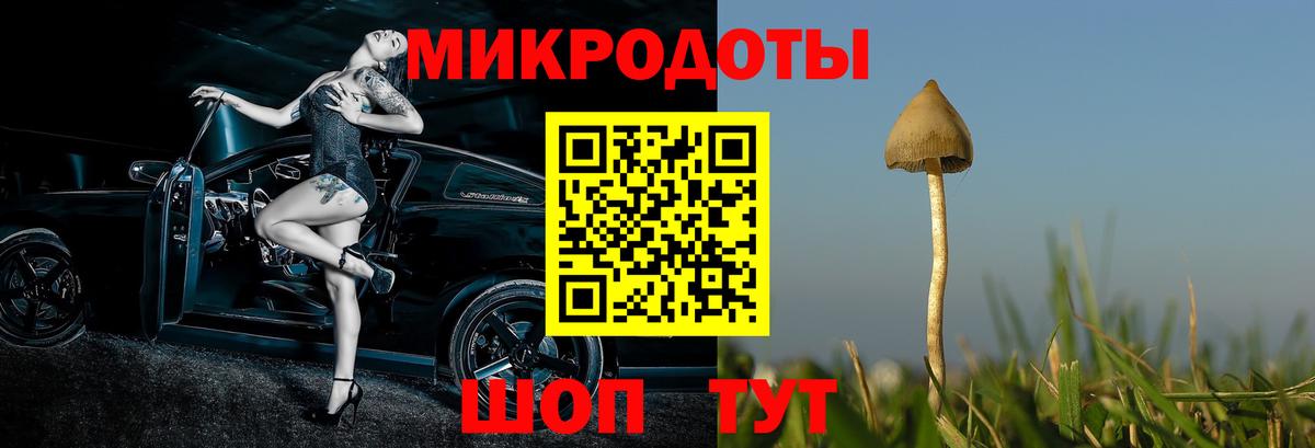 Псилоцибиновые грибы Cubensis Губкин